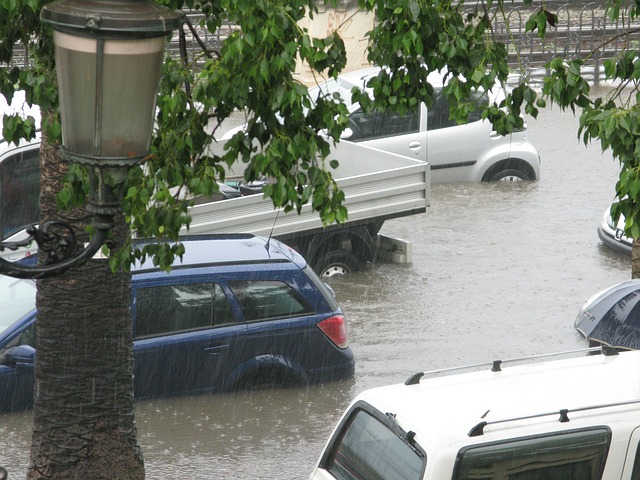 recuperare auto alluvionata